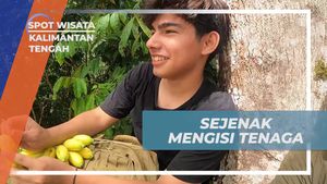 Beristirahat dan Mengisi Tenaga di Tengah Hutan Kalimantan Tengah