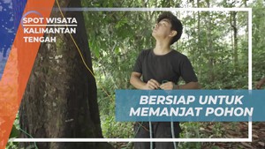 Bersiap Memanjat Pohon Tinggi di Kalimantan Tengah