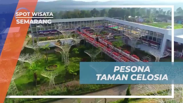 Mengabadikan Pesona Taman Celosia dengan Foto Menarik di Semarang