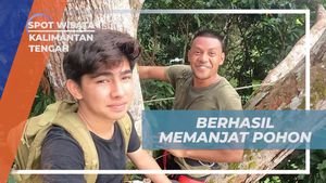 Merayakan Keberhasilan Memanjat Pohon Besar di Kalimantan Tengah