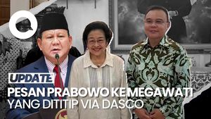 Video: Apa Pesan Prabowo ke Mega yang Dititip Lewat Dasco? Ini Kata Muzani