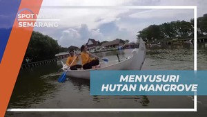 Menyusuri Hutan Mangrove dengan Perahu di Puri Maerokoco Semarang