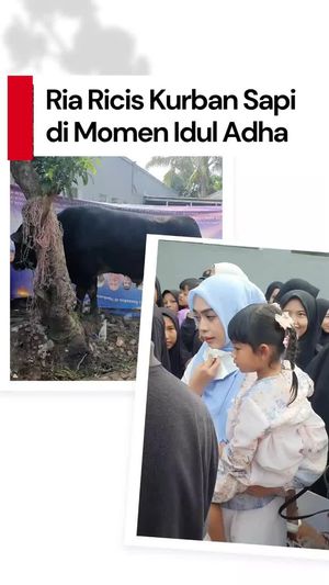 Video: Ria Ricis Kurban Sapi 1,2 Ton di Pesantren Kakaknya