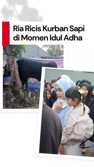 Video: Ria Ricis Kurban Sapi 1,2 Ton di Pesantren Kakaknya