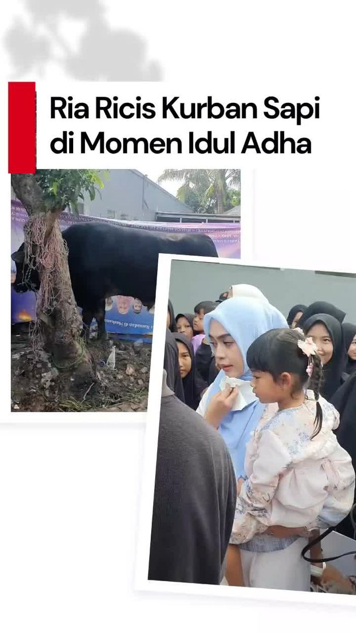 Video: Ria Ricis Kurban Sapi 1,2 Ton di Pesantren Kakaknya