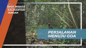 Melanjutkan Perjalanan Menjelajahi Goa di Kalimantan Tengah