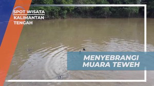 Menyebrangi Sungai Muara Teweh dengan Semangat di Kalimantan Tengah