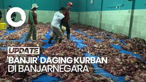Video Banjir Kurban di Banjarnegara, Daging Menggunung