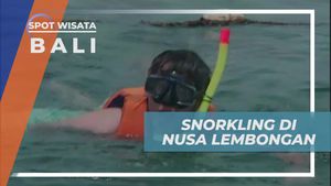 Melakukan Snorkeling Menyelami Keindahan Bawah Laut Nusa Lembongan Bali
