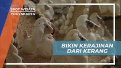 Membuat Kerajinan Unik dari Kerang di Wonosari Yogyakarta