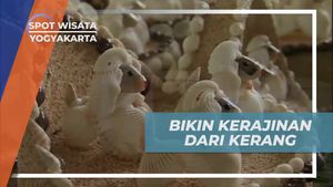 Membuat Kerajinan Unik dari Kerang di Wonosari Yogyakarta