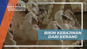 Membuat Kerajinan Unik dari Kerang di Wonosari Yogyakarta