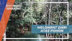 Melompat dari Pohon di Kali Odo Semarang Jawa Tengah