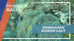 Menyelami Pesona Bawah Laut Terbaik di Pantai Bali