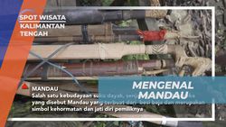 Mengenal Filosofi dan Keunikan Mandau Suku Dayak