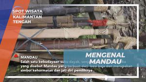 Mengenal Filosofi dan Keunikan Mandau Suku Dayak