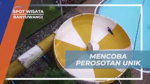 Menaklukkan Perosotan Ekstrim dengan Keberanian di Banyuwangi