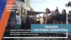 Mengikuti Tradisi Potong Hompong sebagai Sambutan di Desa Hajak