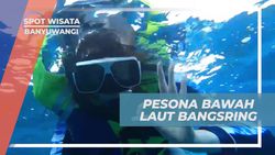 Menyaksikan Pesona Bawah Laut Pantai Bangsring Banyuwangi