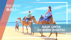 Menunggang Unta di Pesisir Pantai Indah Nusa Dua, Bali