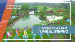 Menjelajahi Keindahan Warna-warni Umbul Bening Banyuwangi