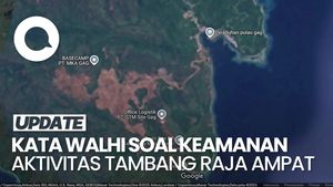 Video: WALHI Nilai Aktivitas Tambang Raja Ampat Akan Rusak Lingkungan