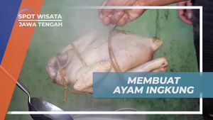 Membuat Ayam Ingkung untuk Perayaan Grebeg Besar di Demak