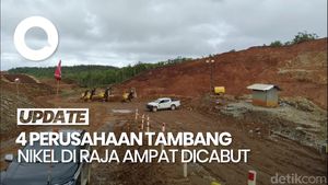 Video: DPR Apresiasi Pencabutan Izin 4 Perusahaan Tambang di Raja Ampat