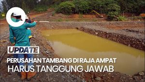 Video: DPR Desak Perusahan Nikel Pulihkan Kerusakan Alam di Raja Ampat