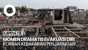 Video Cerita Korban Kebakaran Penjaringan Saling Tonjok Saat Evakuasi Diri