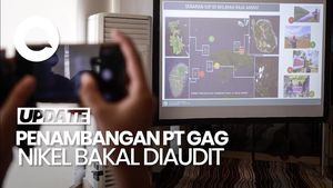 Video Menteri LH Akan Audit Penambangan PT Gag di Raja Ampat