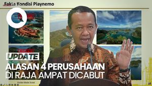 Video: Alasan Izin 4 Perusahaan Tambang Nikel di Raja Ampat Dicabut