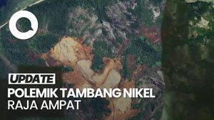 Video 4 Pejabat Pemberi Izin Tambang Raja Ampat & Bantahan Isu Jokowi Terlibat