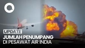 Video: Pesawat Air India yang Jatuh di Ahmedabad Bawa 242 Orang
