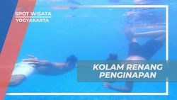 Berenang Pagi di Kolam Renang Penginapan Jambuluwuk, Yogyakarta