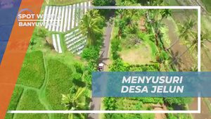 Menyusuri Desa Jelun dengan Mobil dan Menikmati Keindahan Banyuwangi
