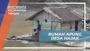Menyelami Kehidupan Rumah Apung di Desa Hajak, Kalimantan Tengah