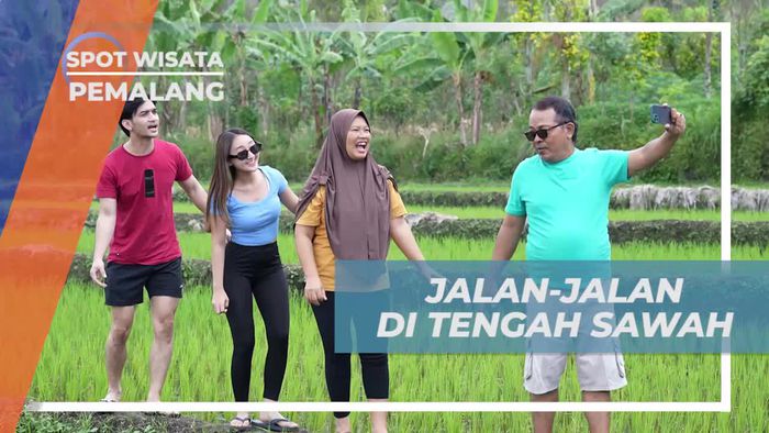 Menyusuri Sawah Hijau Menikmati Alam Pemalang, Jawa Tengah