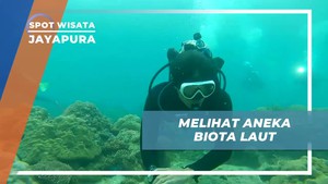 Mengamati Beragam Biota Laut di Bawah Laut Pantai Tablanusu, Jayapura