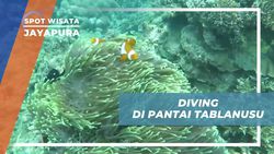 Menyelam dan Menyaksikan Aneka Biota Laut di Pantai Tablanusu