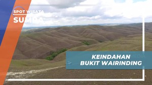 Menjelajahi Keindahan Bukit Wairinding di Sumba