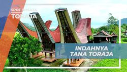 Menyusuri Alam dan Budaya Indah Tana Toraja di Toraja