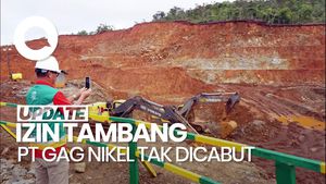Video: Izin Tambang PT Gag Nikel Tak Dicabut, Ini Respons Komnas HAM