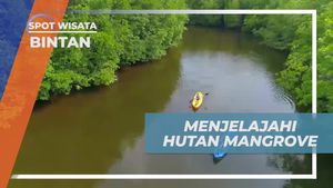 Menjelajahi Hutan Mangrove dengan Perahu Kayak di Treasure Bay Bintan