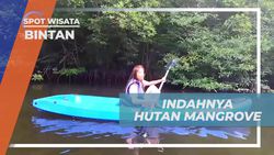 Menyusuri Sungai Kecil dan Keindahan Hutan Mangrove di Bintan