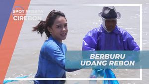 Berburu Udang Rebon Bersama Nelayan di Pantai Gebang Cirebon