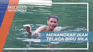Menangkap Ikan dengan Tangan Kosong di Telaga Biru Nila Majalengka
