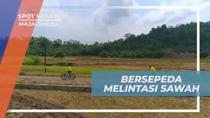 Bersepeda Melintasi Sawah Asri di Majalengka