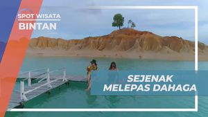 Menikmati Kesegaran Air Kelapa di Telaga Biru Bintan