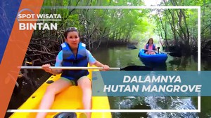 Menyelami Kesejukan dan Kicauan Burung di Hutan Mangrove Bintan